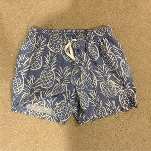 Chubbies Blue Pineapple Swim Trunks